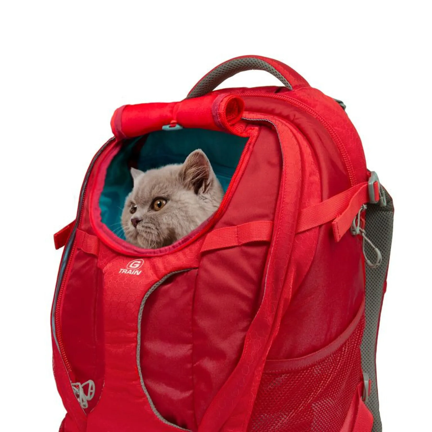 Backpack Kurgo G-Train K9 [Size 36x24x52cm]